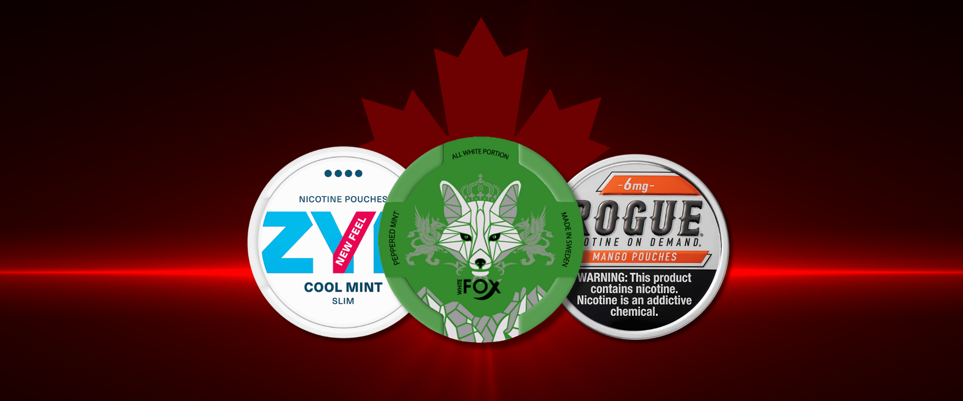 Shop nicotine pouches online in Canada - TinsXpress